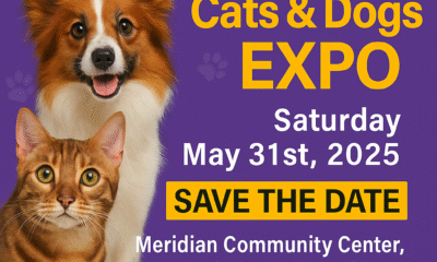 The-Niagara Cats & Dogs Pop-Up Market Is Coming to Fonthill on May 31st!