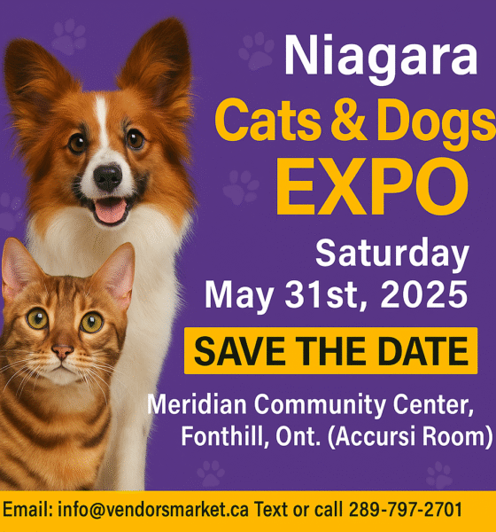 The-Niagara Cats & Dogs Pop-Up Market Is Coming to Fonthill on May 31st!